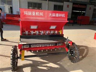 Малки семена за чесън